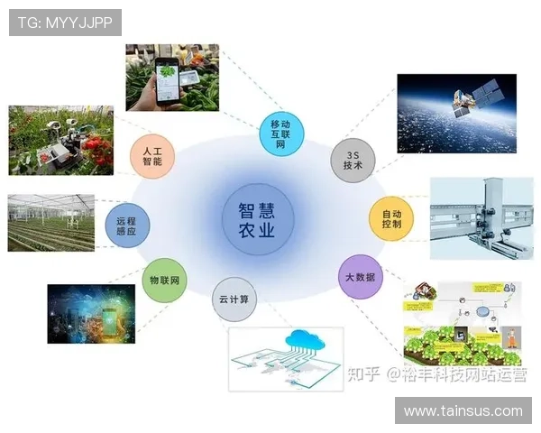 ued体育在电竞行业中的地位与未来发展前景深度解析
